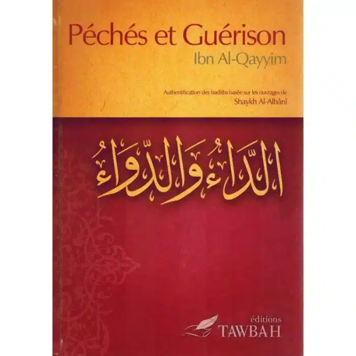 première de couverture du livre Péchés et guérison