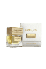 Palmier Royal - Maison Gamalion – Image 2