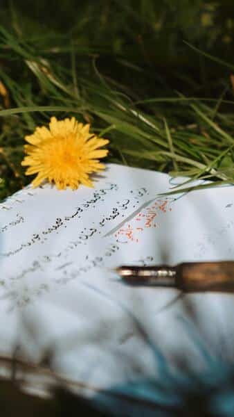 En Islam, le hadith est un domaine très important pour purifier la Sunna.