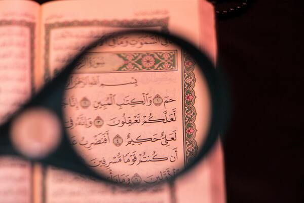 Cheikh Fawzan est un érudit en matière d'exégèse du Coran.